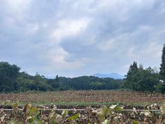 -清漾毛氏文化村