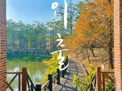 -田野绿世界