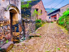 -桑洲油菜花景区