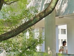 -湖北美术学院(昙华林校区)