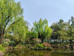 -秋霞圃