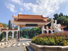 -深圳仙湖植物园