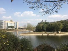 -四川大学(江安校区)