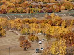 -乌兰布统景区-白桦林