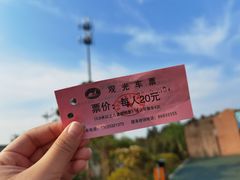 -青岛森林野生动物世界