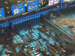 -好人家海鲜酒楼(淞南路店)