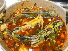 -肖肖酸萝卜鱼火锅(总店)