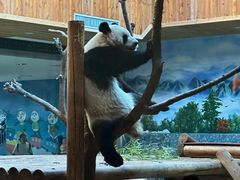 -西安秦岭野生动物园