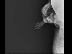 -狗舍宠物医院(四季商业广场店)