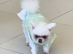 -怪兽屋·羊驼·猫咖·狗咖(俊华广场店)