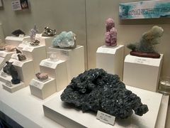 -天津自然博物馆