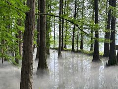 -东湖落雁景区