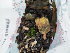 -三亚鹿回头高尔夫球会-停车场