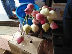 -小印度