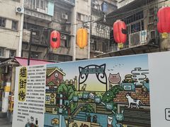 -猫咪博物馆(顶澳仔猫街店)
