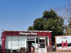 -哈根达斯(滨江店)
