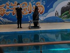 -厦门海底世界