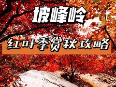 -周口店坡峰岭风景区