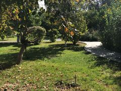 -哈密回王府景区