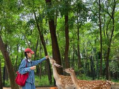 -南戴河国际娱乐中心