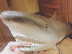-信不信由你博物馆