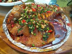 -全乐鱼馆·淳牌有机鱼直营店