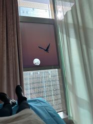 -北京米扬丽格医疗美容·联合丽格鼻整形中心