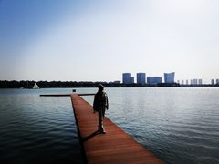 -暨阳湖生态园