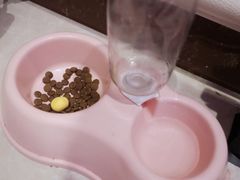 -沐沐家宠物(成寿寺店)