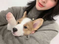 -浣熊柯尔鸭土拨鼠·电玩咖