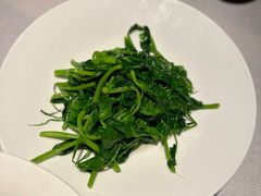 -许家菜(DT51店)