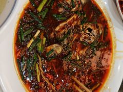 葱葱鲫鱼-田园印象·成都土菜院子(华阳店)