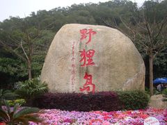 -野狸岛