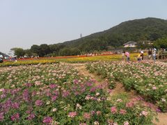 -广州市石门国家森林公园