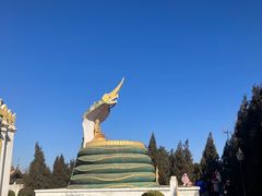 -洛阳白马寺