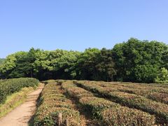 iphone_upload_pic-西湖风景区十里琅珰-五云山