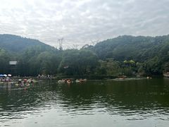 -广州市帽峰山景区