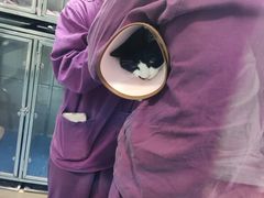 -特一安24小时宠物医院·骨科·中兽医
