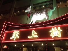 门面-羊上树(南门外店)