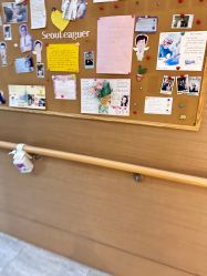 -上海首尔丽格医疗美容医院