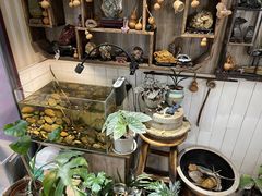 -Rabbit Cafe私房西餐甜点咖啡(栖霞路店)