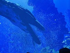 -海合安成都极地海洋公园