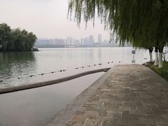 -天鹅湖体育公园