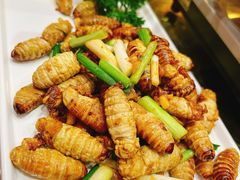 -前堡羊汤岫岩一部(凯隆店)