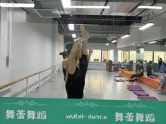 -舞蕾舞蹈(特长生校区)