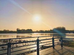 -大兴滨河森林公园