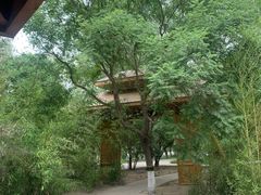 -大兴滨河森林公园