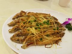 -益利大酒楼(井岸店)