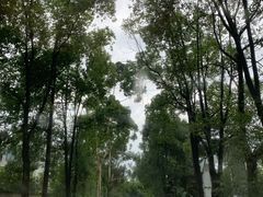 -三圣花乡旅游区