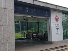 -岗子村(地铁站)